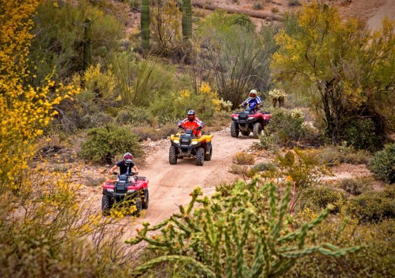 Sonoran Desert: Guided UTV or ATV Desert Tour - Good To Know