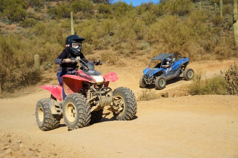 Sonoran Desert: Guided UTV or ATV Desert Tour - The Value of the Experience