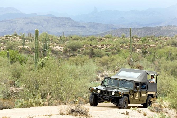Sonoran Desert H1 Hummer Adventure - Overview of the Sonoran Desert