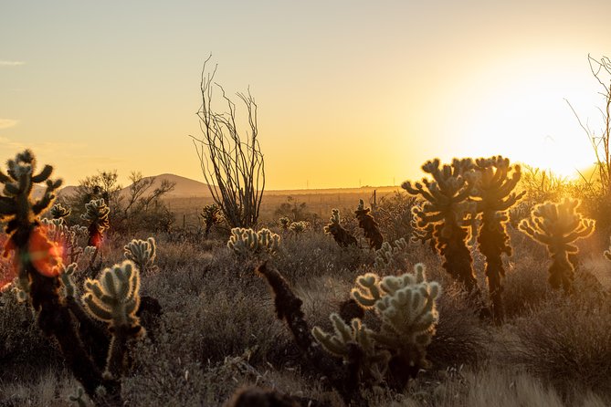 Sonoran Desert Jeep Tour at Sunset - Inclusions and Requirements
