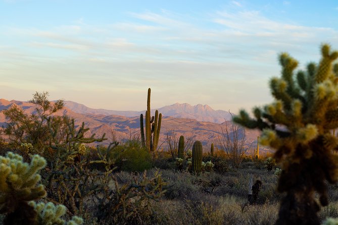 Sonoran Desert Jeep Tour at Sunset - The Beauty of the Sonoran Desert