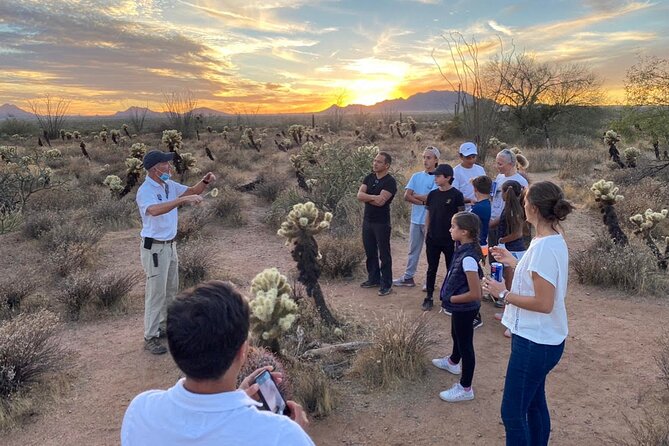 Sonoran Desert Jeep Tour at Sunset - Tips for a Memorable Jeep Tour