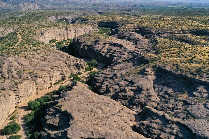 Sonoran Desert Jeep Tour - Traveler Photos