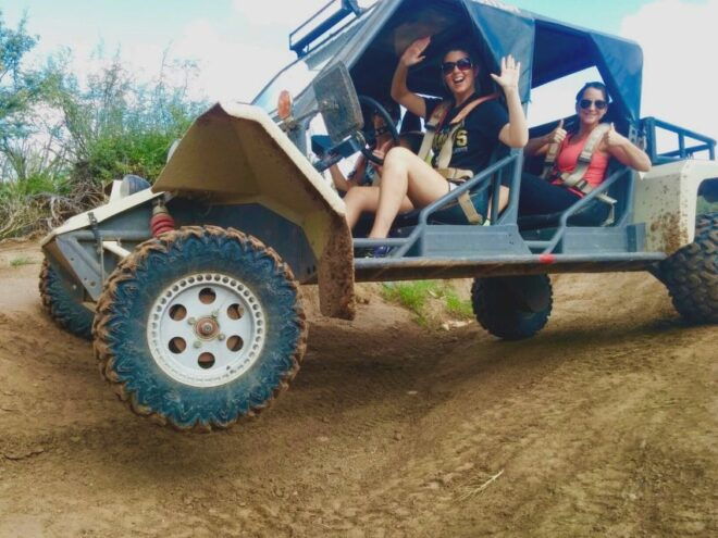 Sonoran Desert Off-Road Tours in Tomcars - The Sum Up