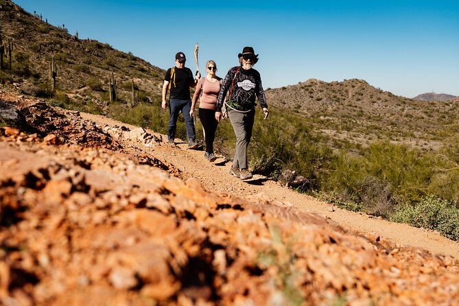Sonoran Desert Private Hiking Adventure From Phoenix - Overview and Details of the Hiking Adventure