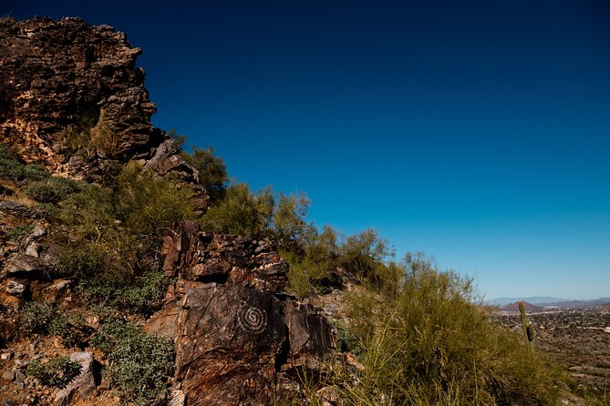 Sonoran Desert Private Hiking Adventure From Phoenix - Common Questions