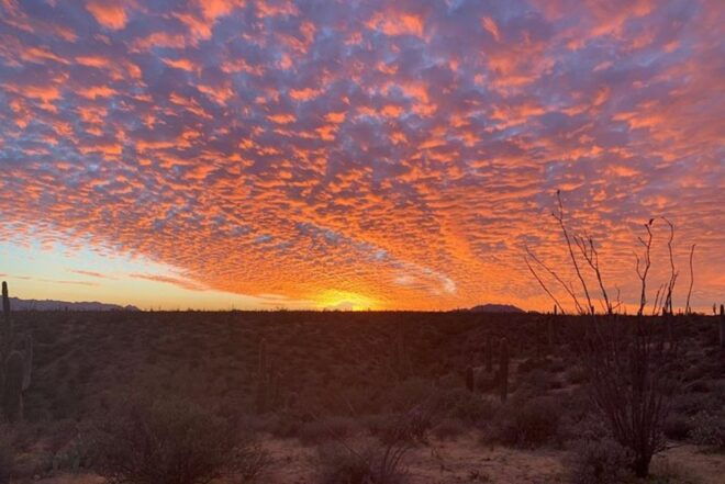 Sonoran Desert: Sunset Jeep Tour With Tonto National Forest - Tips for a Memorable Tour Experience