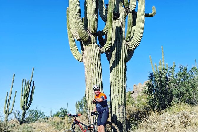 Sonoran Half Day Desert Mountain Bike Adventure- Guide or Solo  - Scottsdale - Overview and Options