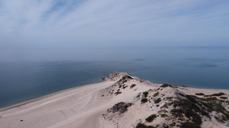 Sonora:Tour to the Sand Dunes of the Desert in San Nicolás - Experience Sandboarding in the Desert