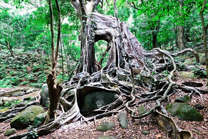 Sontra Peninsula Exploration With Rice Wine Distillery & Testing - Directions