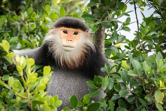 Sontra Peninsula Exploration With Rice Wine Distillery & Testing - Common Questions