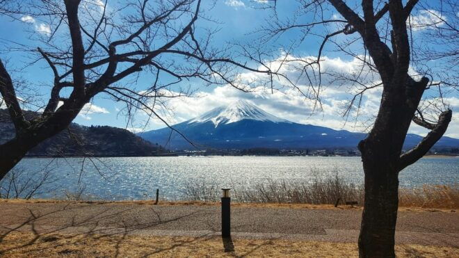Sooperdooper 1 Day Trip to Mt.Fuji With Pick & Drop Service - Amenities Included