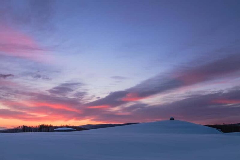 Sopporo: Hokkaido Shrine and Atama Daibutsu Full-Day Tour - An In-Depth Look at the Sapporo: Hokkaido Shrine and Atama Daibutsu Tour