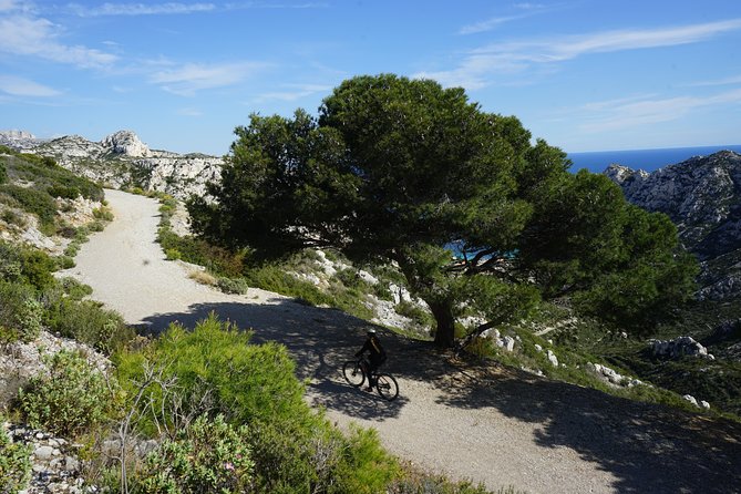 Sormiou Calanques National Park Electric Bike Tour From Marseille - Traveler Tips and Reviews