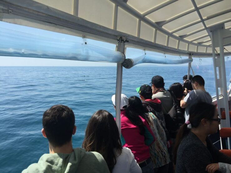 Sorrento: 1.5-Hour Port Phillip Bay Adventure Cruise - Activity Details