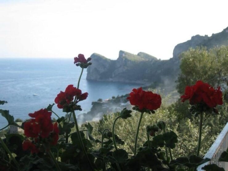 SORRENTO AMALFI COAST: TREKKING AND OVERNIGHT IN NERANO BAY - Good To Know