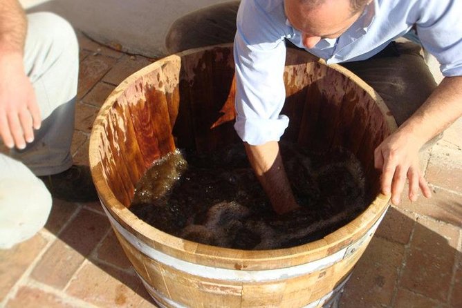 Sorrento-Amalfi Coast: Vineyard and Wine Tasting Private Tour - Tour Highlights