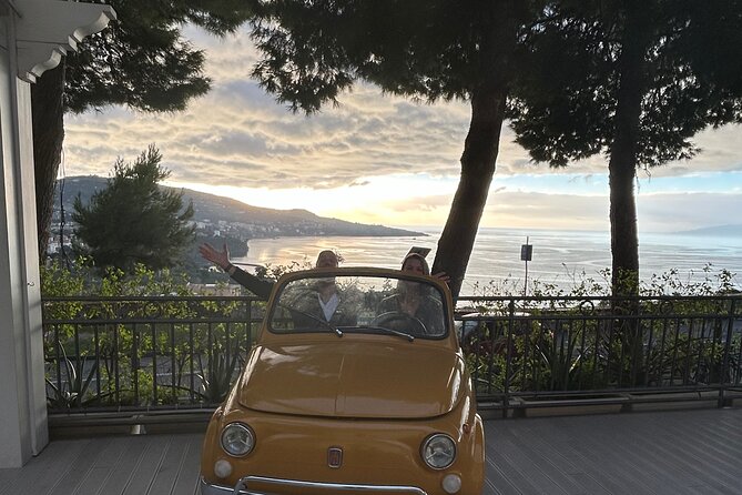 Sorrento and Pompei Private Full Day Tour - Additional Amenities