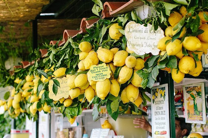 Sorrento Coast and Capri Boat Tour From Positano - Cancellation Policy
