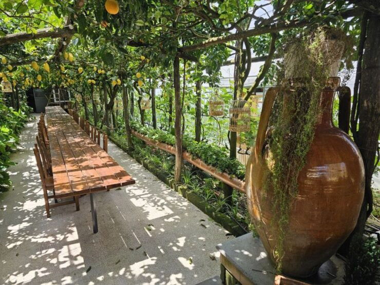 Sorrento Coast: E-Bike & Cooking Experience - Experience Highlights