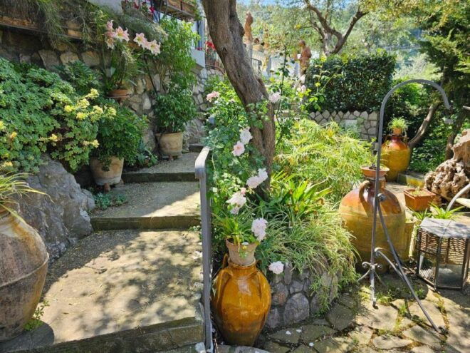 Sorrento Coast E-Bike Tour and Visit at Vinegar Cellar - Tour Experience