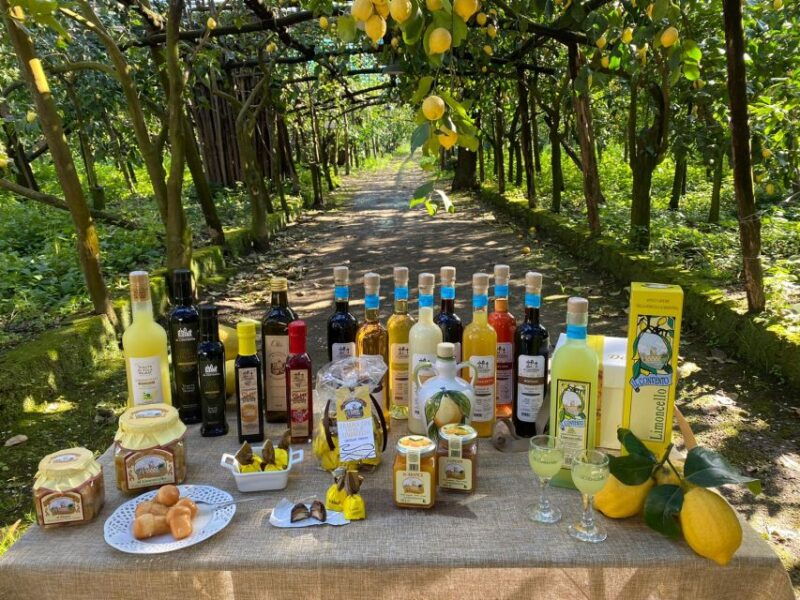 Sorrento: Coast E-Bike Tour With Limoncello Tasting - Itinerary and Highlights