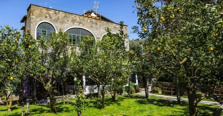 Sorrento: Coast E-Bike Tour With Limoncello Tasting - What to Expect During the Tour
