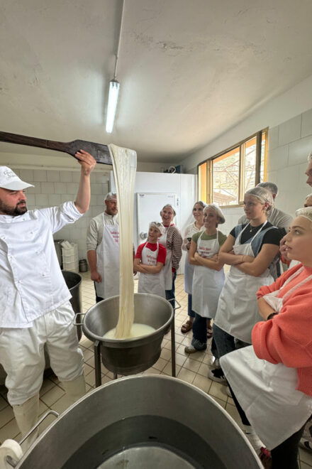 Sorrento Coast Mozzarella Tasting & Cheese Making Experience - Tasting Experience