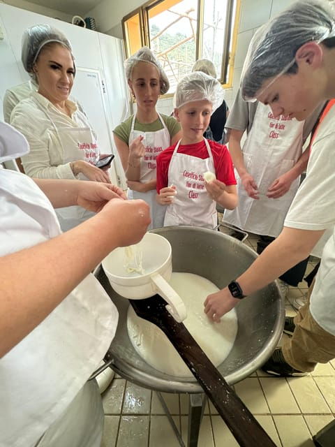 Sorrento Coast Mozzarella Tasting & Cheese Making Experience - Booking Information