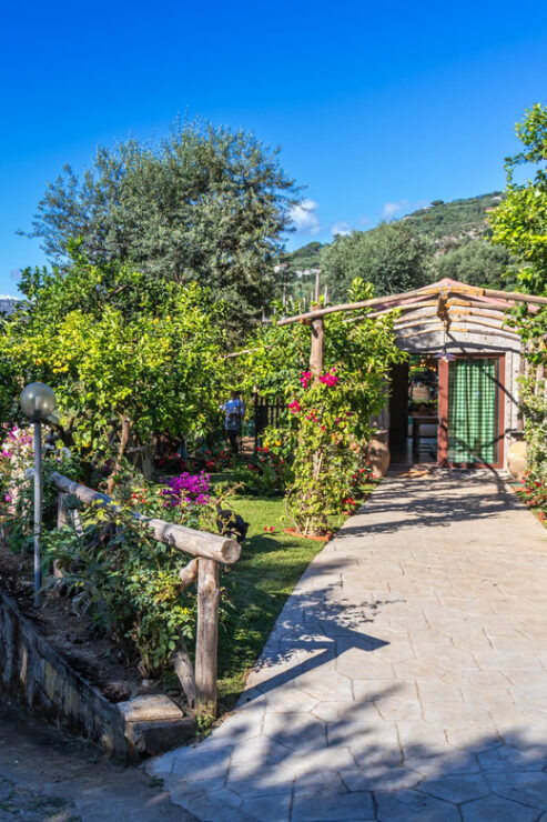 Sorrento Cooking Class: Taste the Tradition Feel the Love - Class Overview and Details