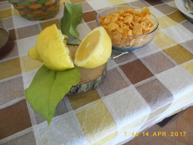 Sorrento: Dinner in the Farm With Local Produces & Transfer - Transfer Details