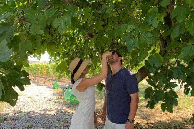 Sorrento: Family Farm Experience With Lunch - Experience Description