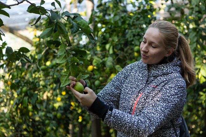 Sorrento Farm Experience Including Tastings, Pizza Making and Limoncello - Sample Menu