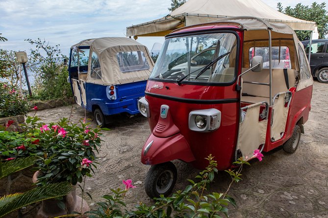 Sorrento Farm Experience Including Tastings, Pizza Making and Limoncello - Cancellation Policy