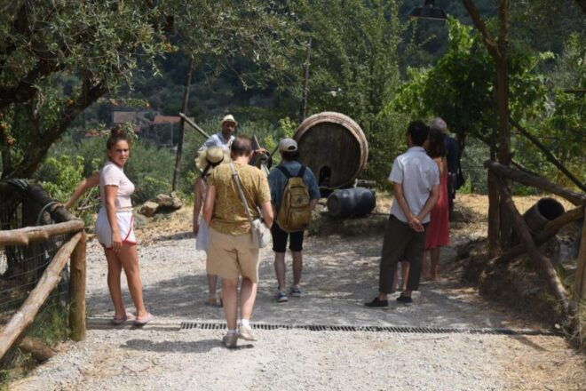 Sorrento Farm Experience: Pizza, Cheese, Wine & More - Booking Information