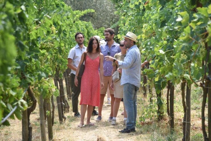 Sorrento: Farm Tour With Cheese Tasting & Pizza Making Class - Activity Details