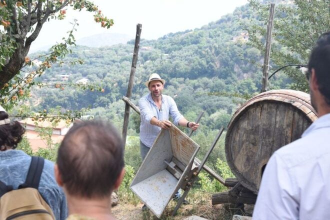 Sorrento: Farm Tour With Cheese Tasting & Pizza Making Class - Inclusions