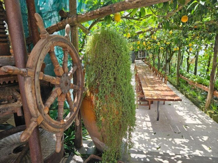 Sorrento: Food Tour by E-Bike and Visit at Vinegar Cellar - Good To Know
