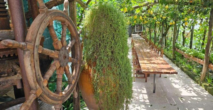 Sorrento: Food Tour by E-Bike and Visit at Vinegar Cellar - Itinerary