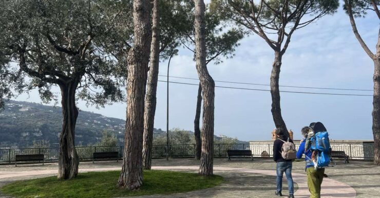 Sorrento: From the Hills to the Sea Hiking Tour - Experience Sorrentos Diverse Landscapes