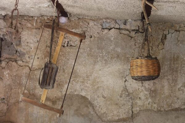 Sorrento: Guided Olive Mill Visit With Tastings - Campano Wine Tasting