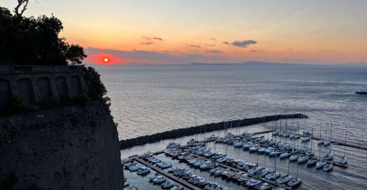 Sorrento: Guided Tour of the Largest and Older Lemon Grove - Good To Know