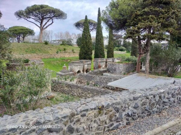 Sorrento: Half-Day Pompeii Tour With Official Guide - The Sum Up