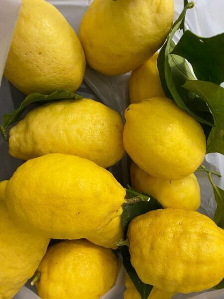 Sorrento: Hands-On Limoncello Making Experience - Frequently Asked Questions
