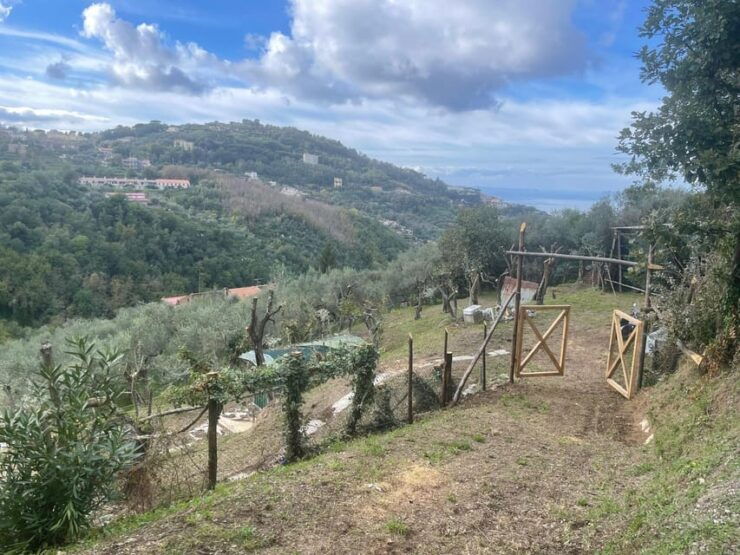 Sorrento: Hike and Food - Good To Know