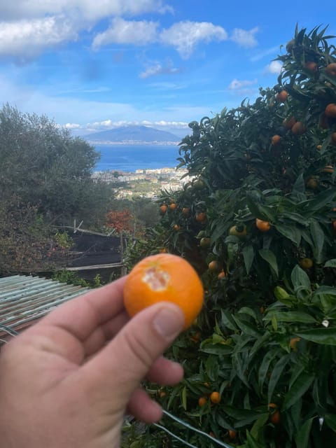 Sorrento: Hike and Food - Itinerary Details