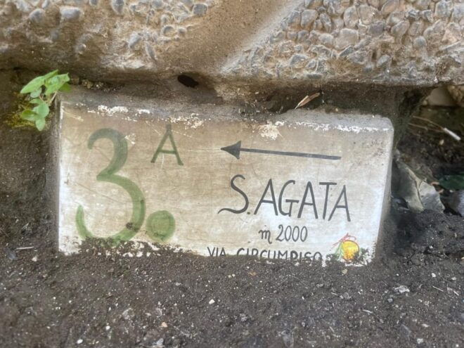 Sorrento: Hike and Food - Guided Experience