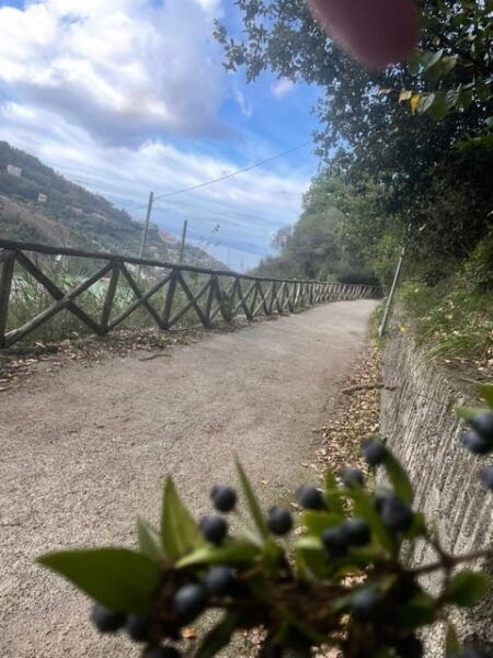 Sorrento: Hike and Food - Booking Information