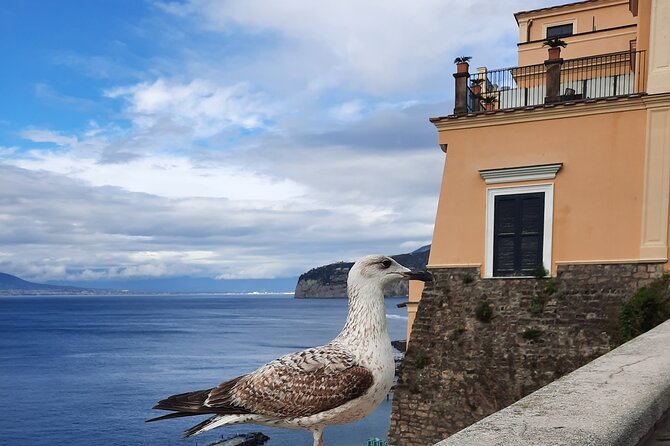 Sorrento in the Grand Tour With Breathtaking Landscapes - Select Date and Travelers