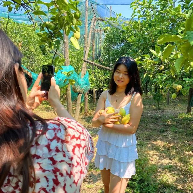 Sorrento: Lemon Experience With Harvesting and Tasting Tour - Good To Know